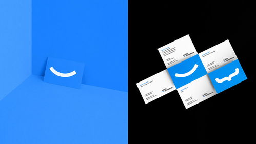 数字时代的匠心融合 Baltic Amadeus 定制软件开发公司品牌形象设计解析